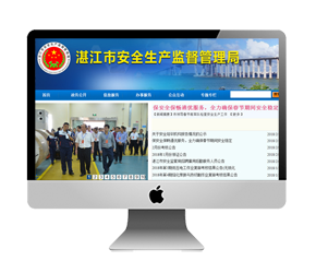 政府門(mén)戶網(wǎng)站建設(shè)
